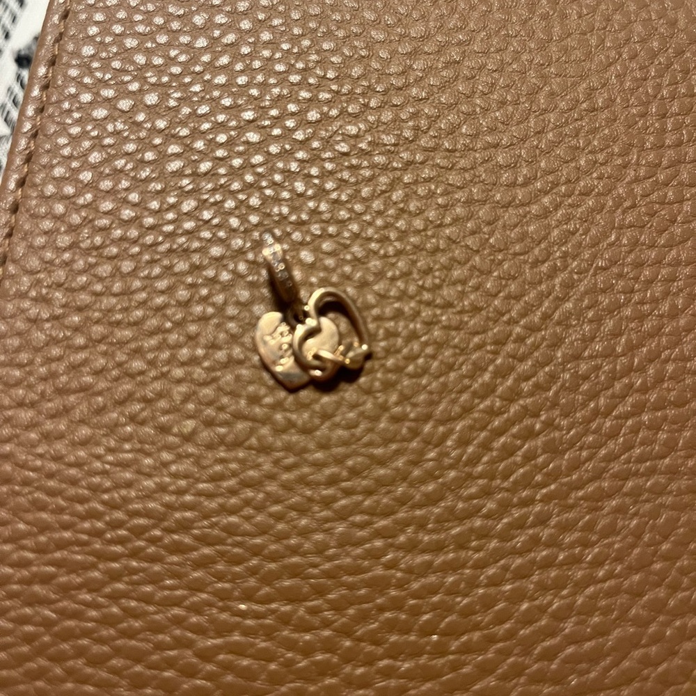 Pandora dangle charm